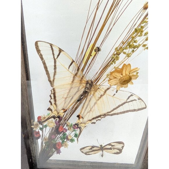 Vintage Shadow Box Butterflies Flowers display glass 12.4" x 5.4" boho READ - Picture 2 of 16